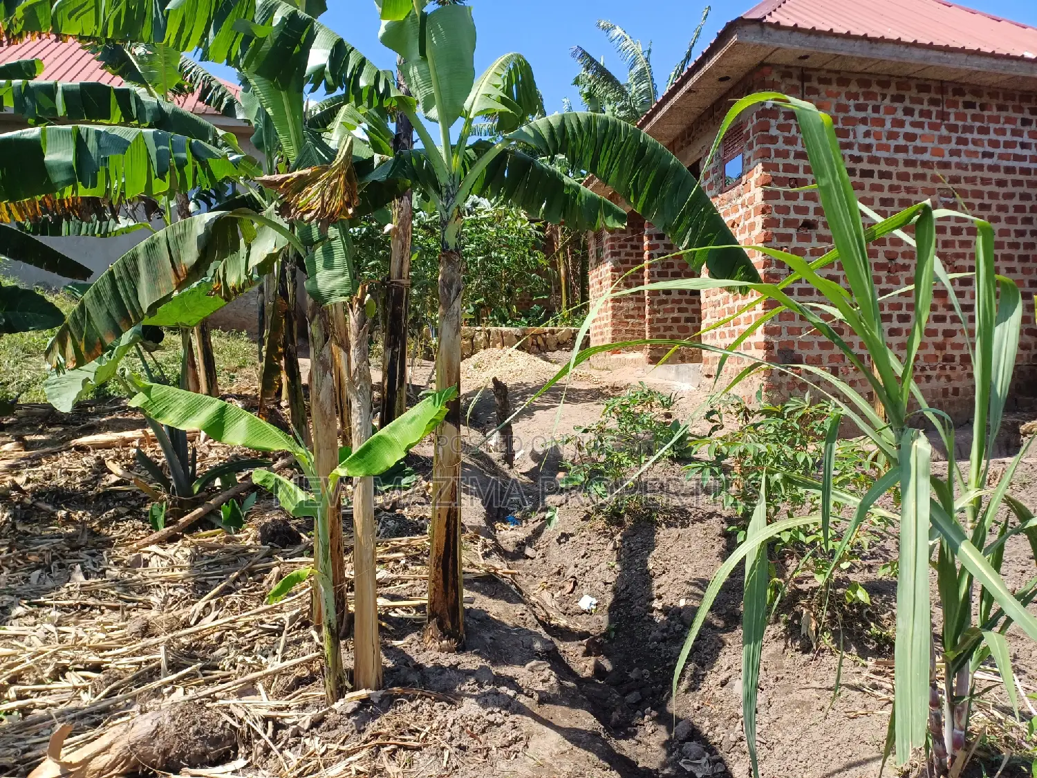 Affordable Plot on Quick Sale in Nsangi Near Police Post in Division A