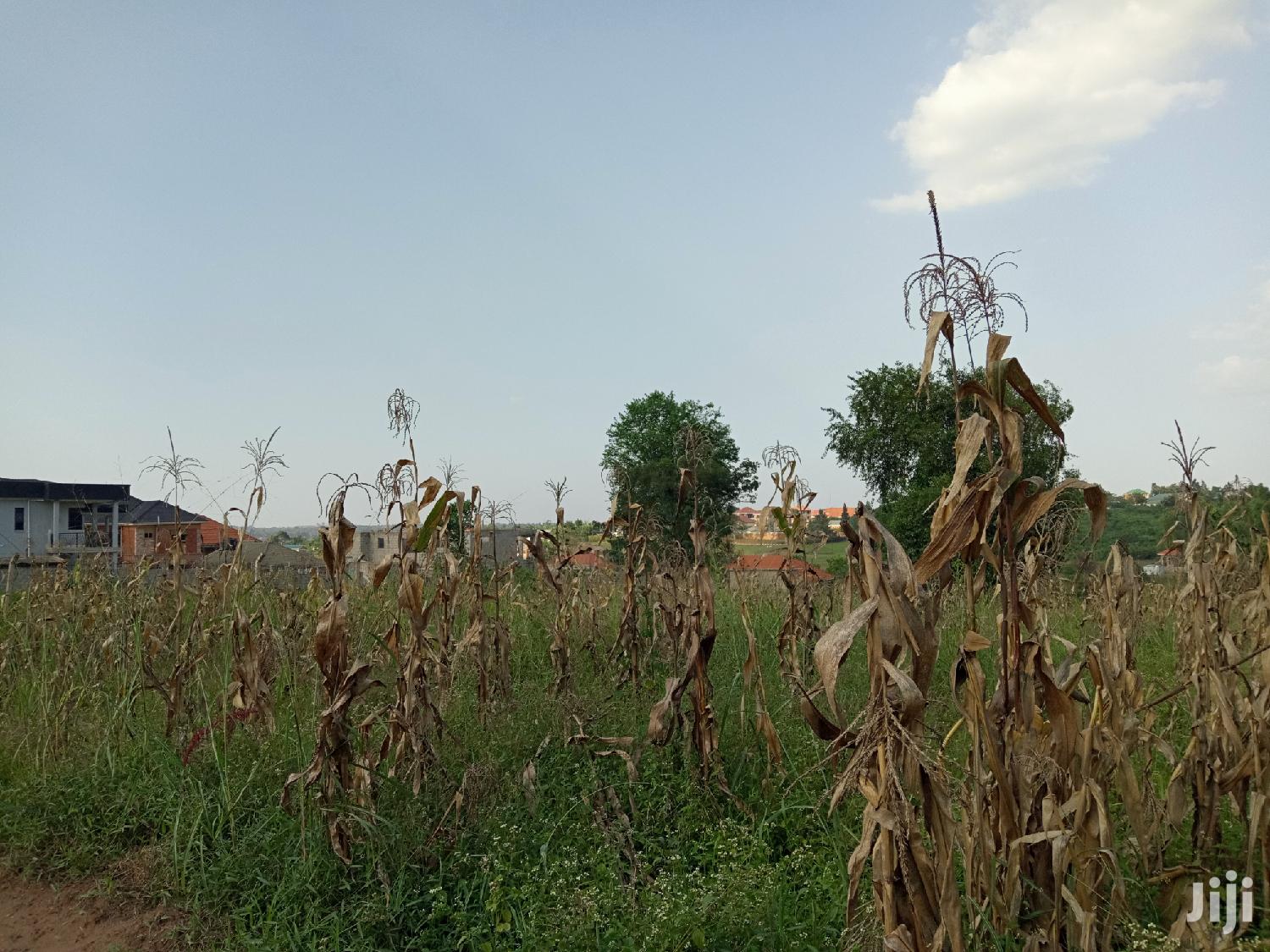 Gorgeous Plot in Kira on Sell in Kampala