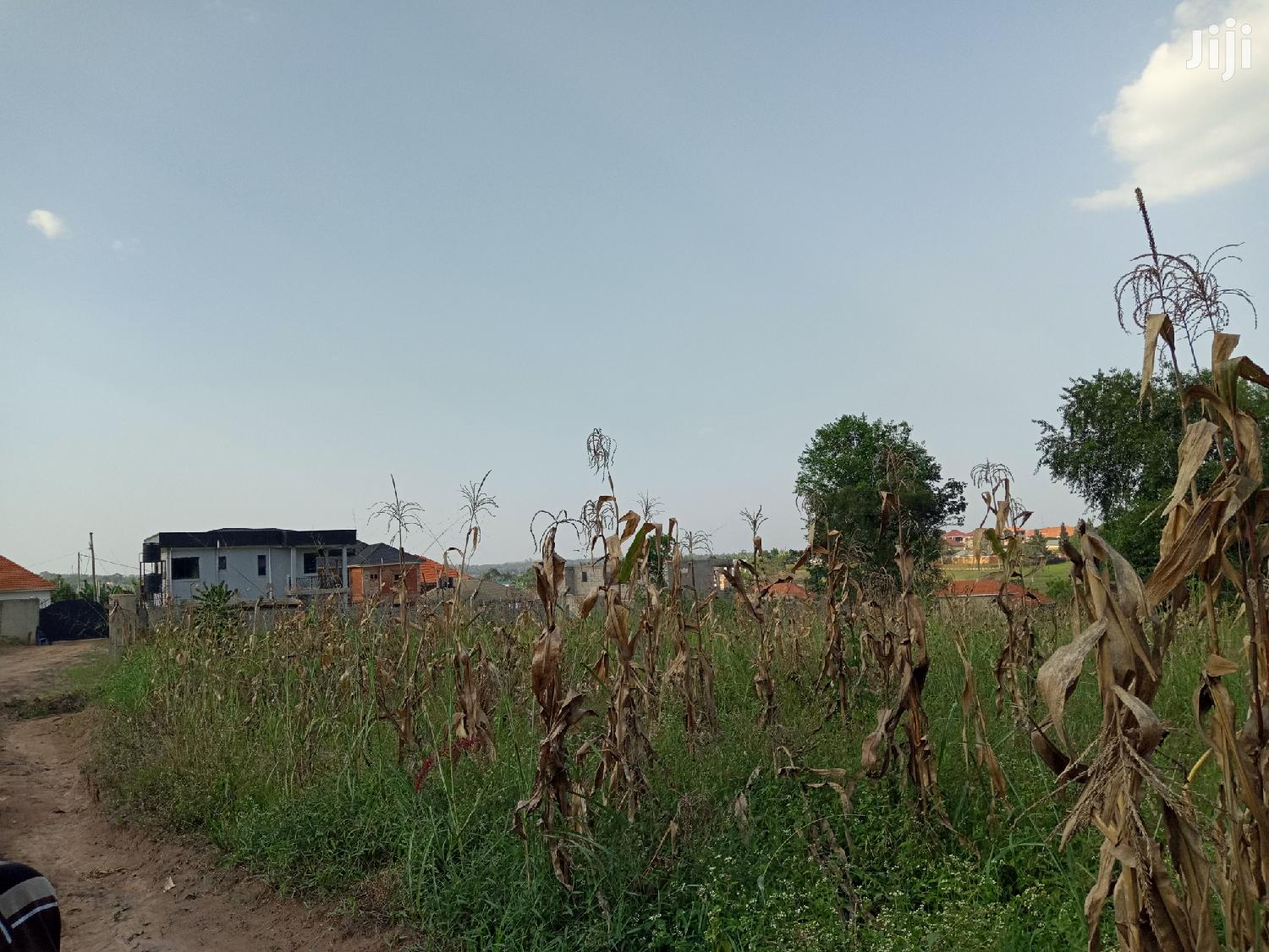 Gorgeous Plot in Kira on Sell in Kampala