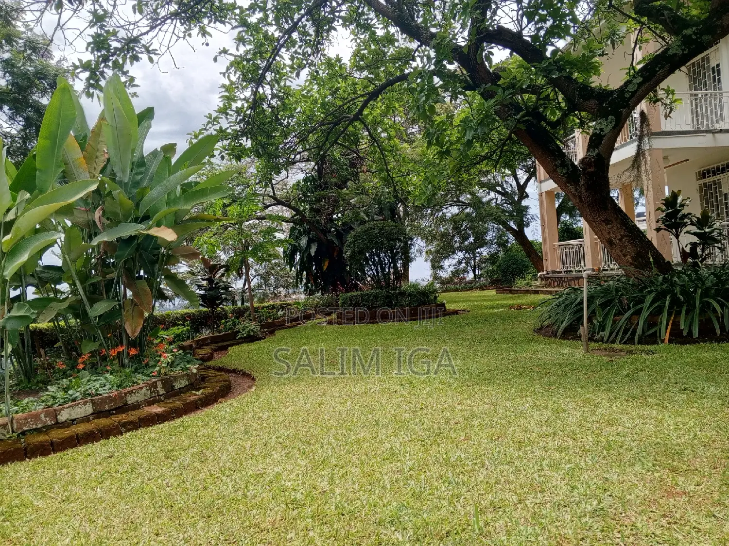 5bdrm Duplex in Kololo Property, Central Division for rent in Central Division