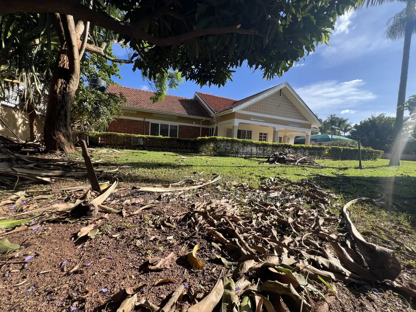4bdrm Bungalow in Kololo, Central Division for rent in Central Division