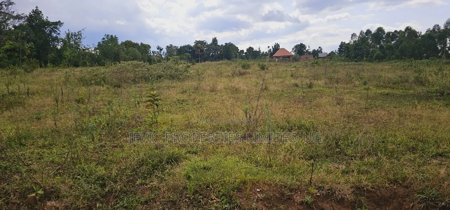 Looking for Genuine Agreement Plots 50x100, Namayumba Estate in Wakiso / Wakiso
