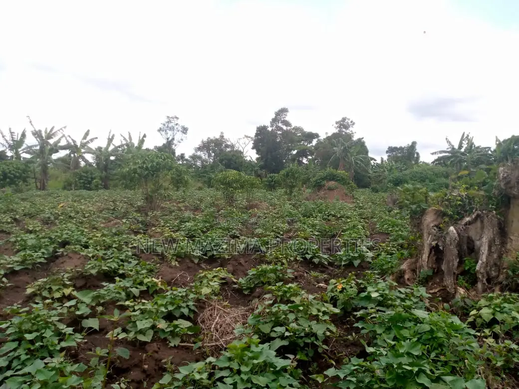 Very Strategic 7 Acres With 3phase Power Onsale Bombo Kalule in Division A