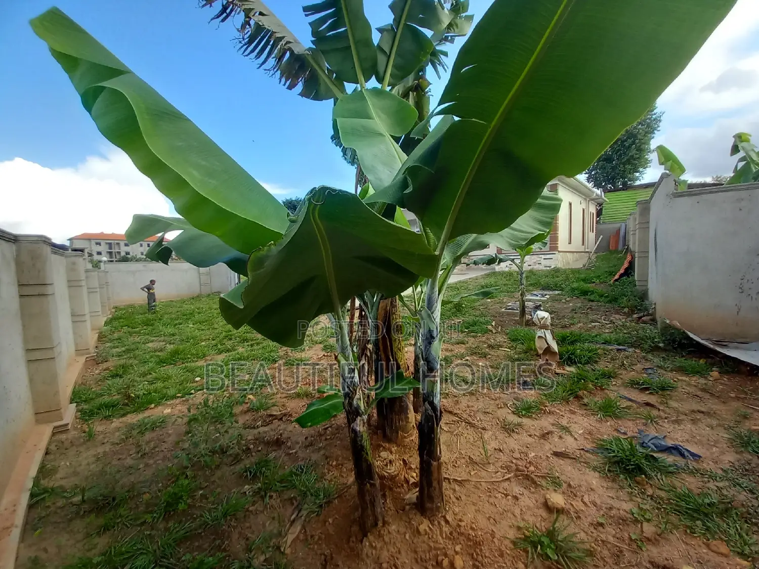 Furnished 4bdrm House in Kira for sale in Kira