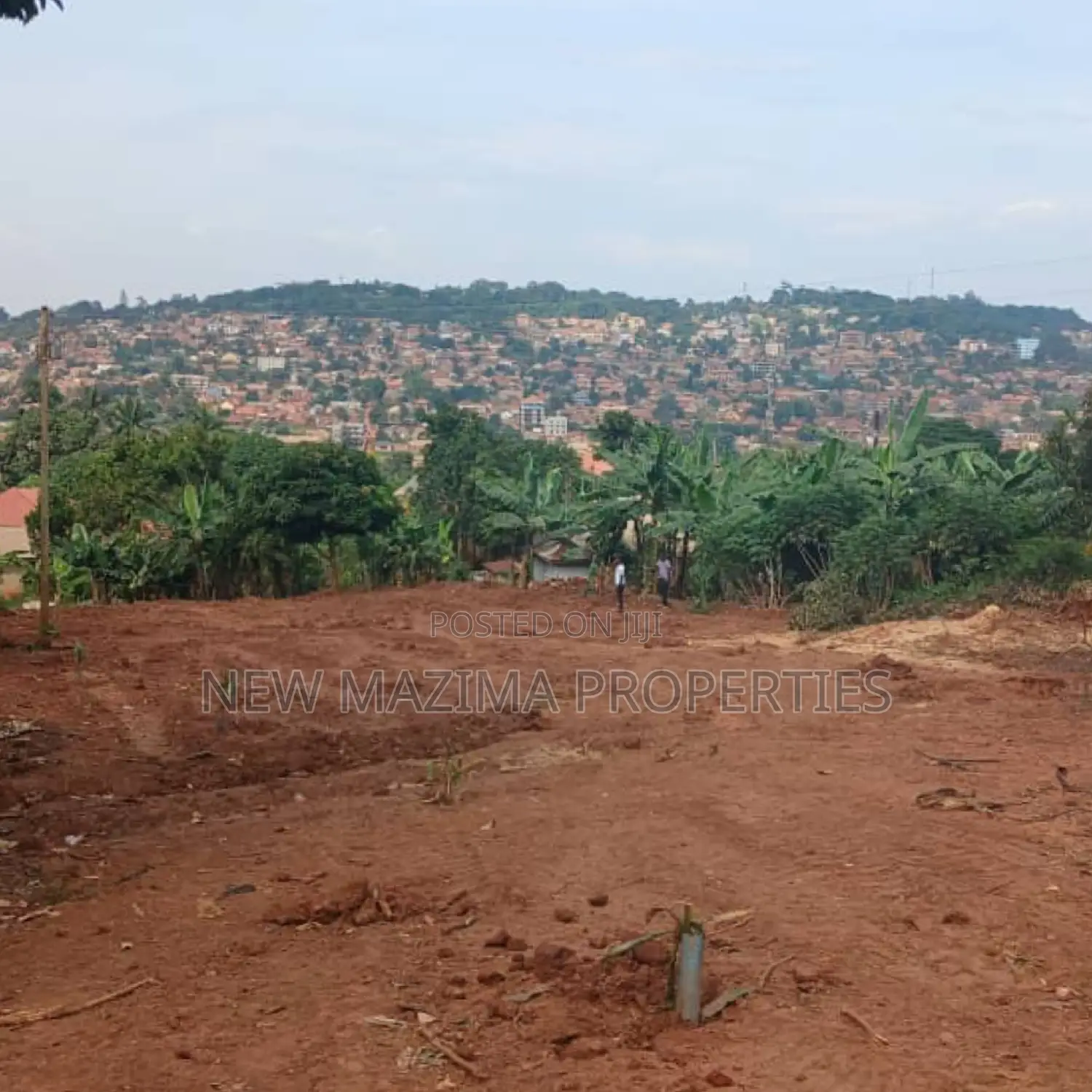 Affordable Plot on Quick Sale in Heart of Najjanankumbi in Division A