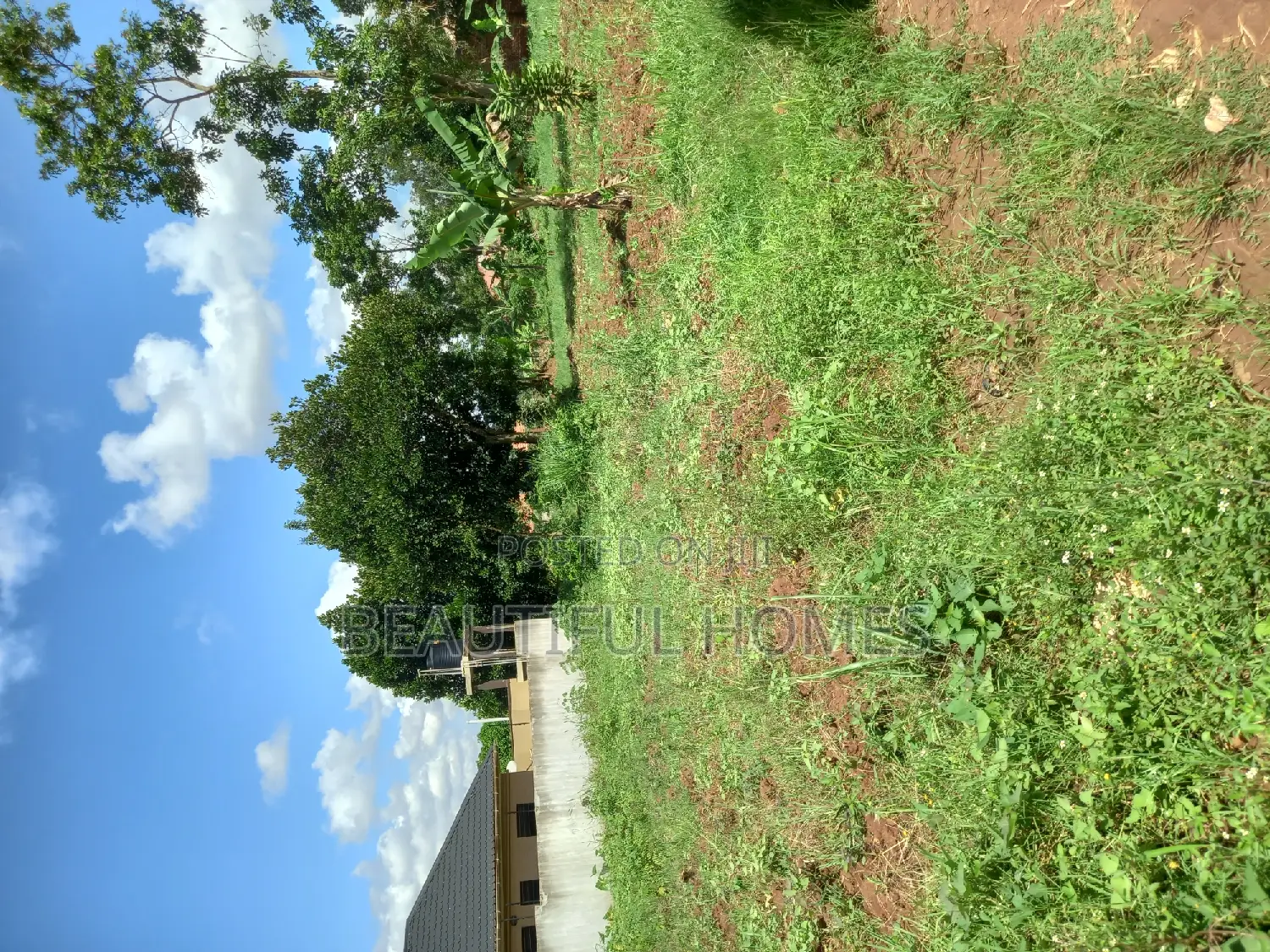 50*100 in Kira on Sell in Kira