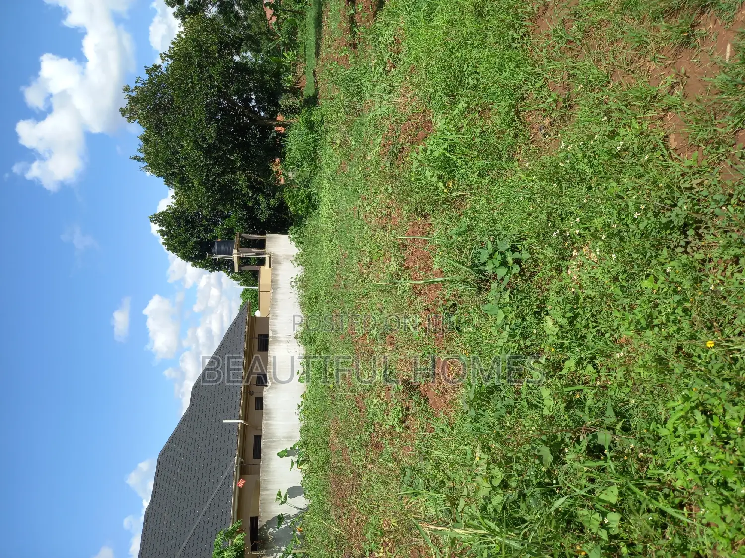 Kira Plots of Land on Sell in Kira