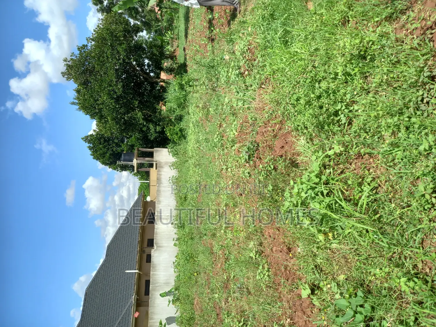 Kira Plots of Land on Sell in Kira