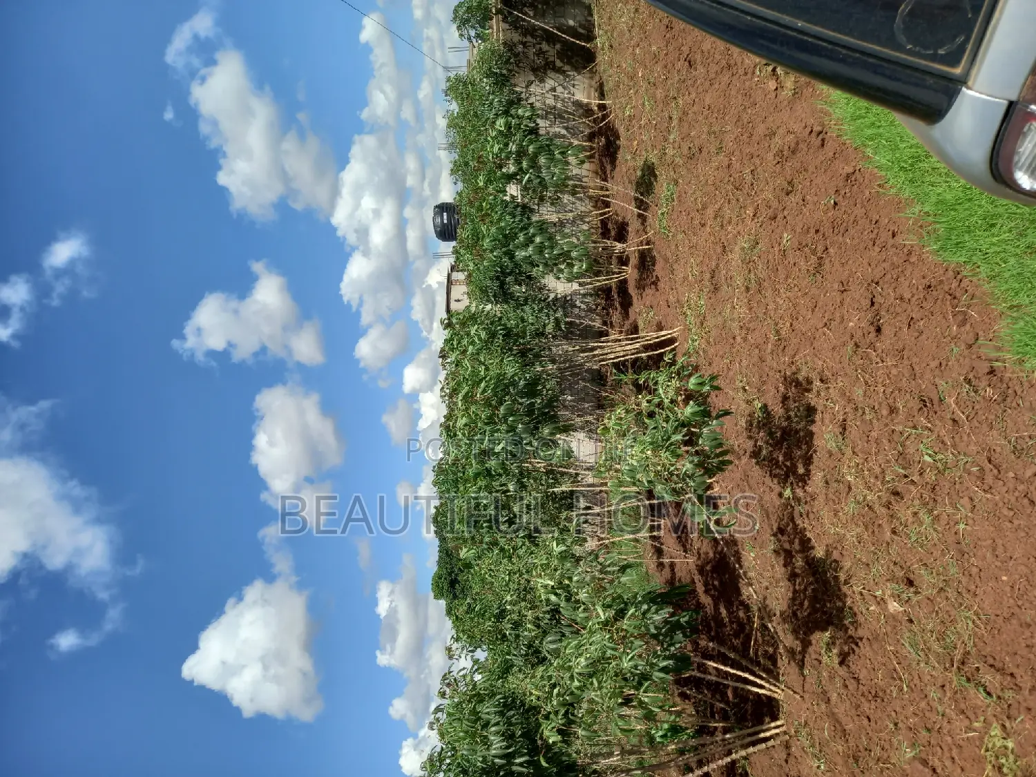 Plots at Kira on Sell in Kira