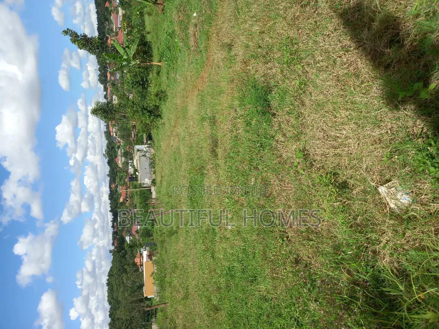 Kira Land on Fast Sell in Kira