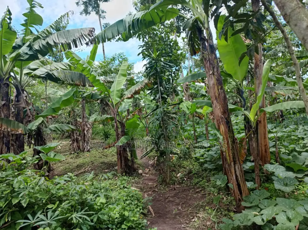 5 Acres on Quick Sale in Kanyanda Along Matuga Semuto Rd in Division A