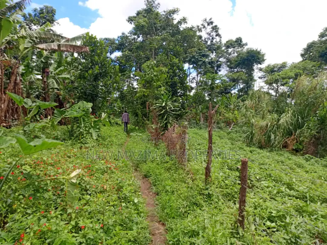5 Acres on Quick Sale in Kanyanda Along Matuga Semuto Rd in Division A