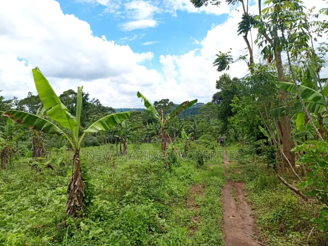 5 Acres on Quick Sale in Kanyanda Along Matuga Semuto Rd in Division A