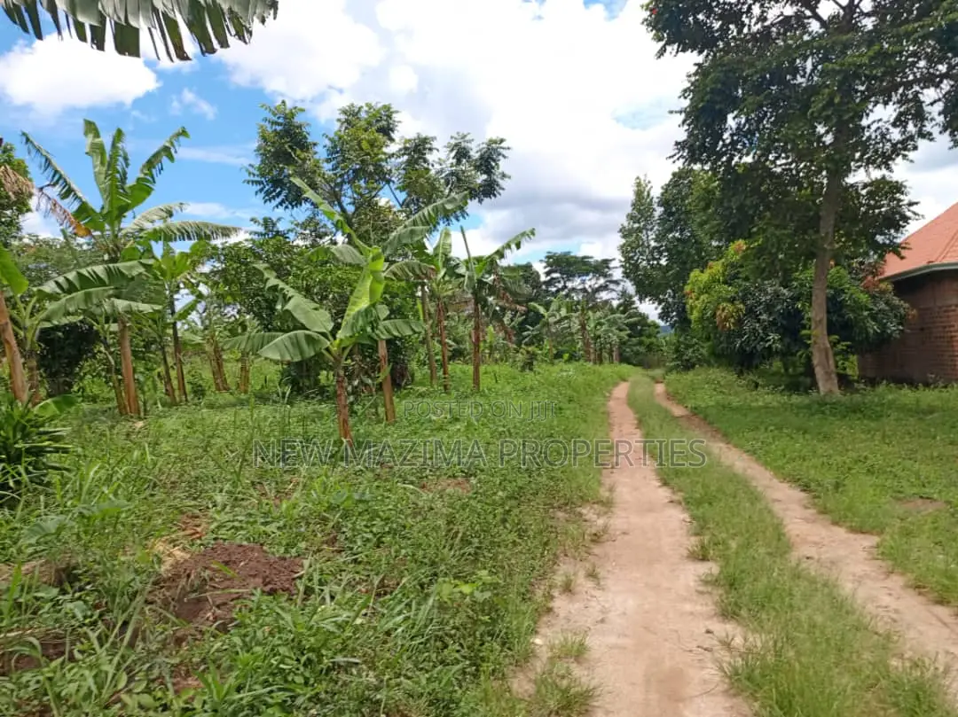 5 Acres on Quick Sale in Kanyanda Along Matuga Semuto Rd in Division A