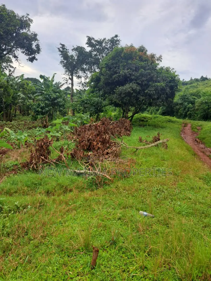 Veryfertile 15acres in Buwalura on Kitalya Rd on Mityaana Rd in Division A