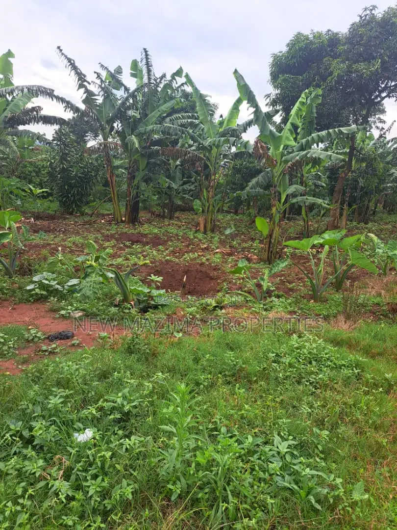 Veryfertile 15acres in Buwalura on Kitalya Rd on Mityaana Rd in Division A