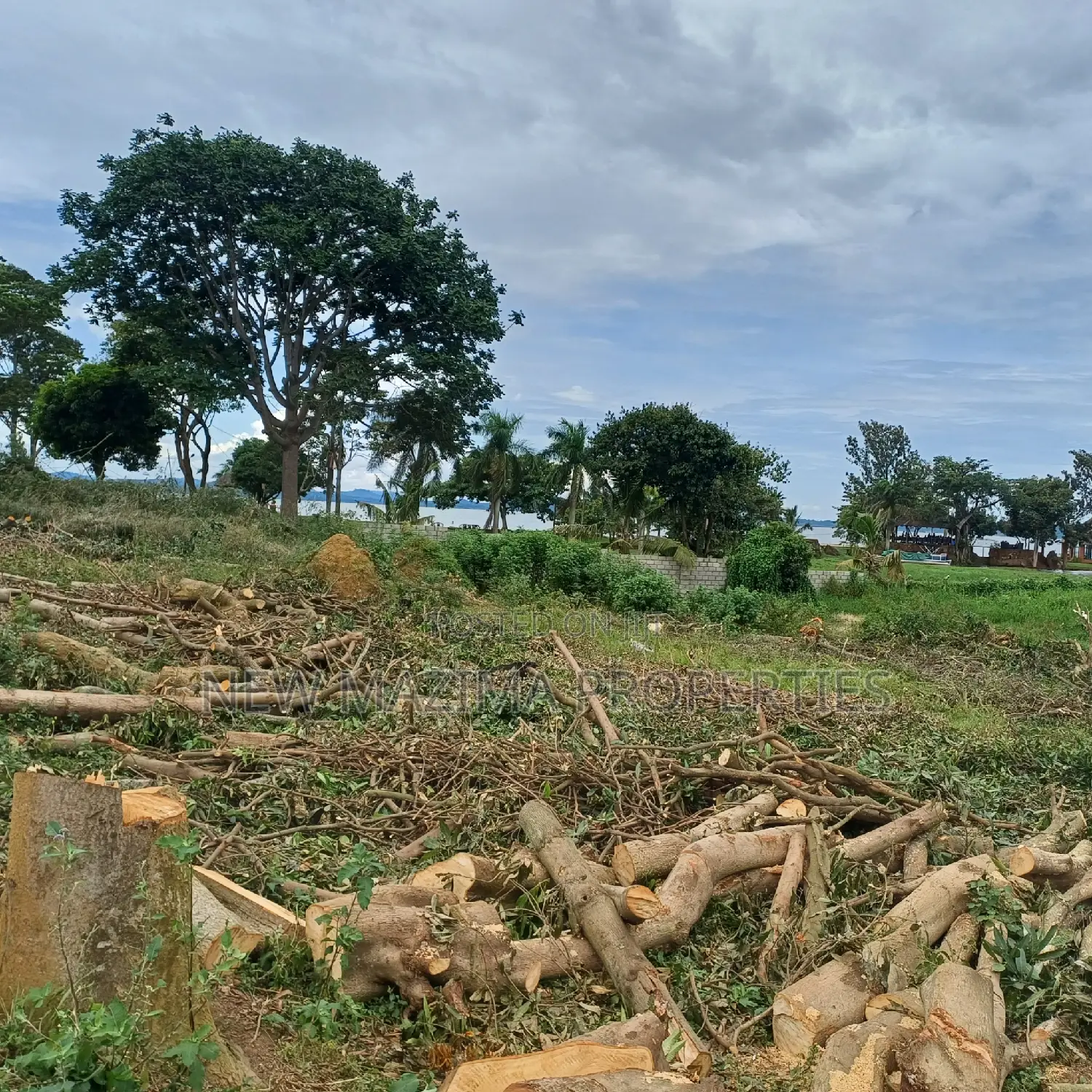 Very Beautiful Hot Plots With Lake View on Sale in Busabaala in Division A