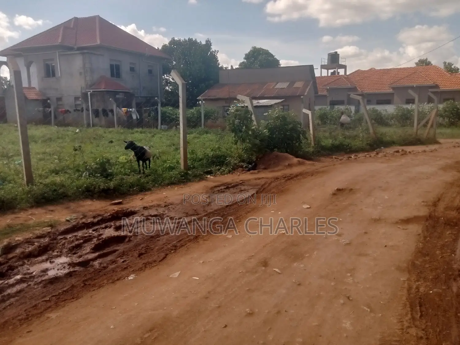 Nice Plot for Sale at Kungu Town in Central Division