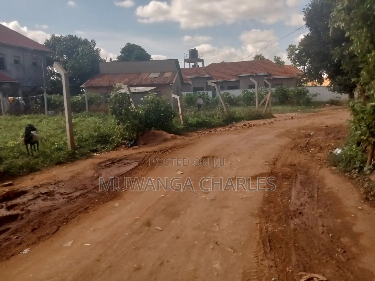 Nice Plot for Sale at Kungu Town in Central Division