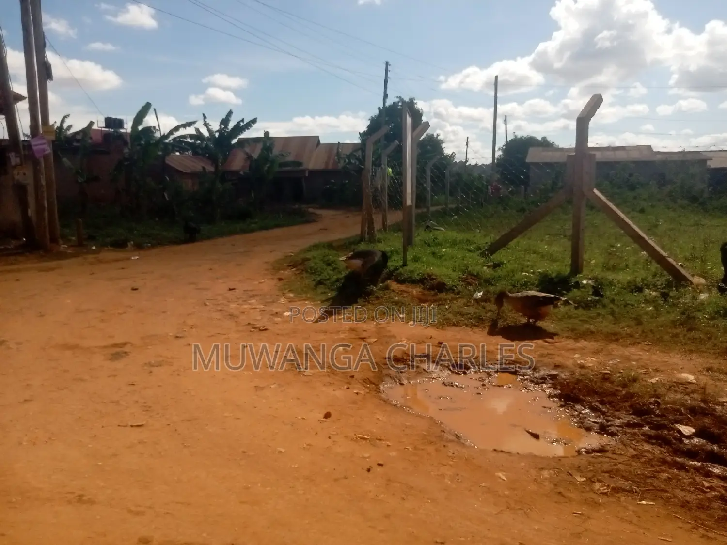 Nice Plot for Sale at Kungu Town in Central Division