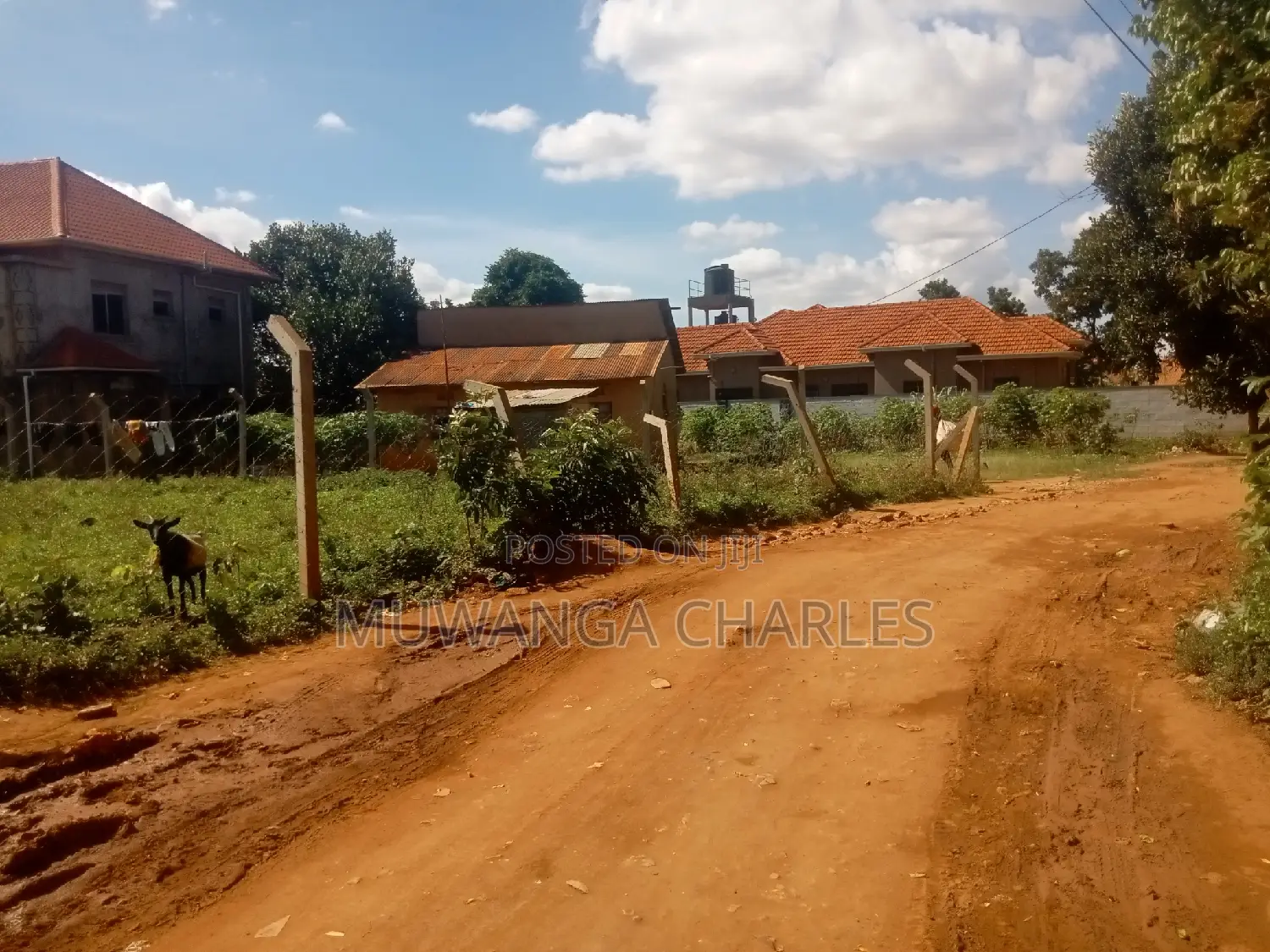 Nice Plot for Sale at Kungu Town in Central Division