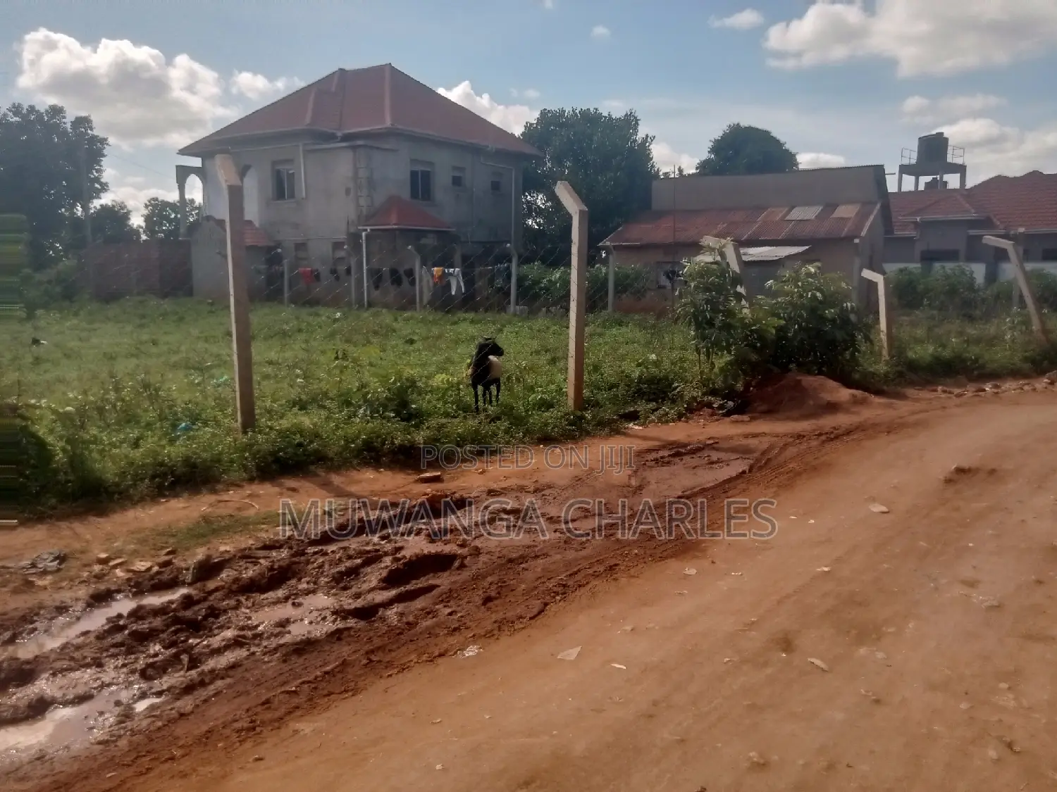 Nice Plot for Sale at Kungu Town in Central Division
