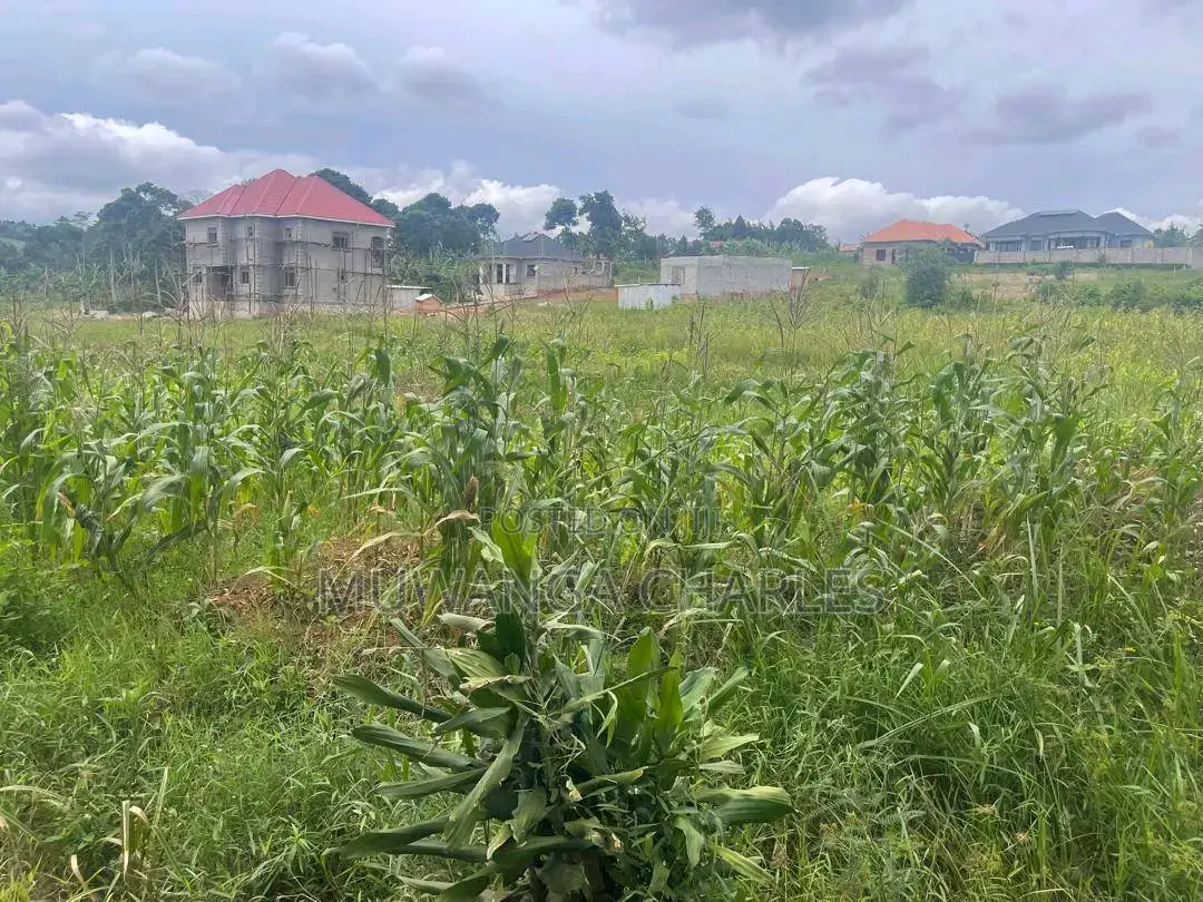 Plots Are Available for Sale in Busiika in Central Division
