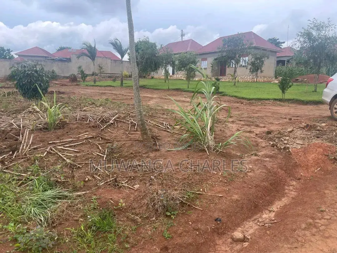 Plots Are Available for Sale in Busiika in Central Division