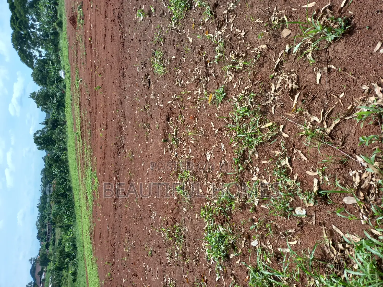 Kira Kitukutwe Plots on Sell in Kira