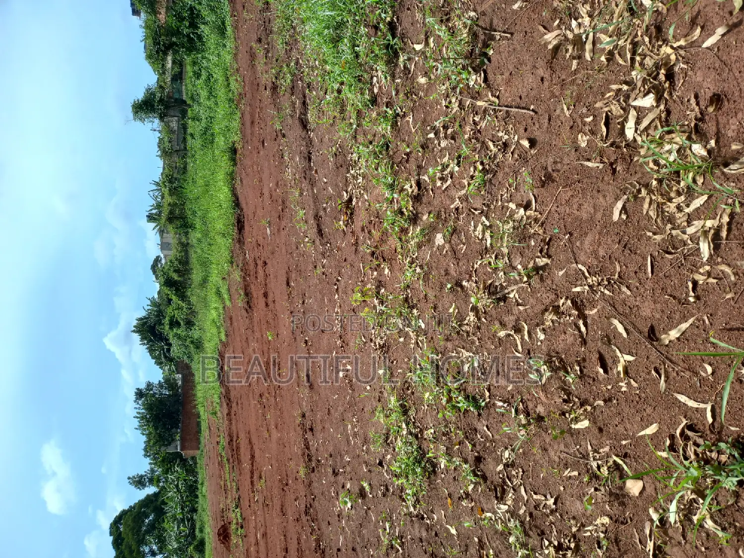 Plots in Kira for Sale in Kira
