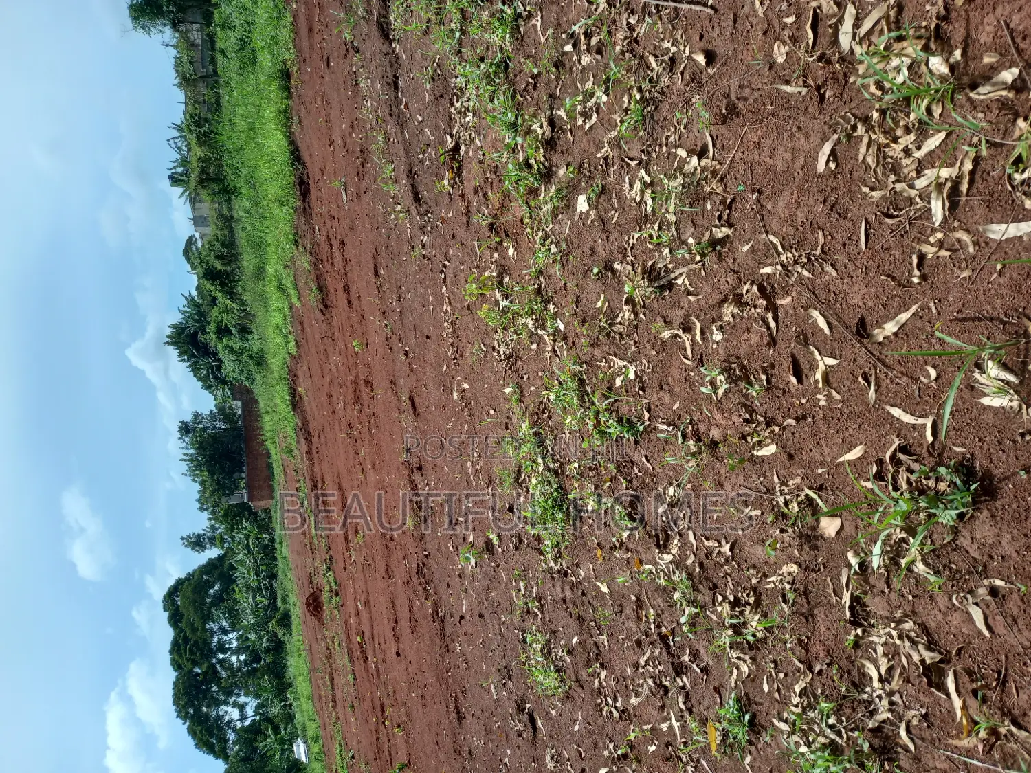 Plots in Kira for Sale in Kira