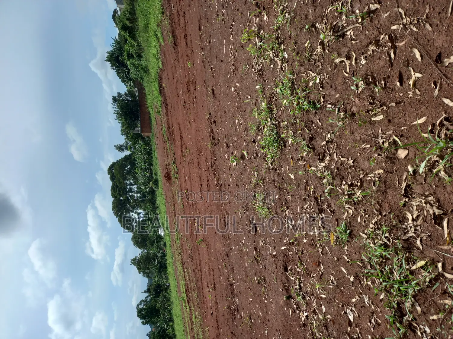 Plots in Kira for Sale in Kira