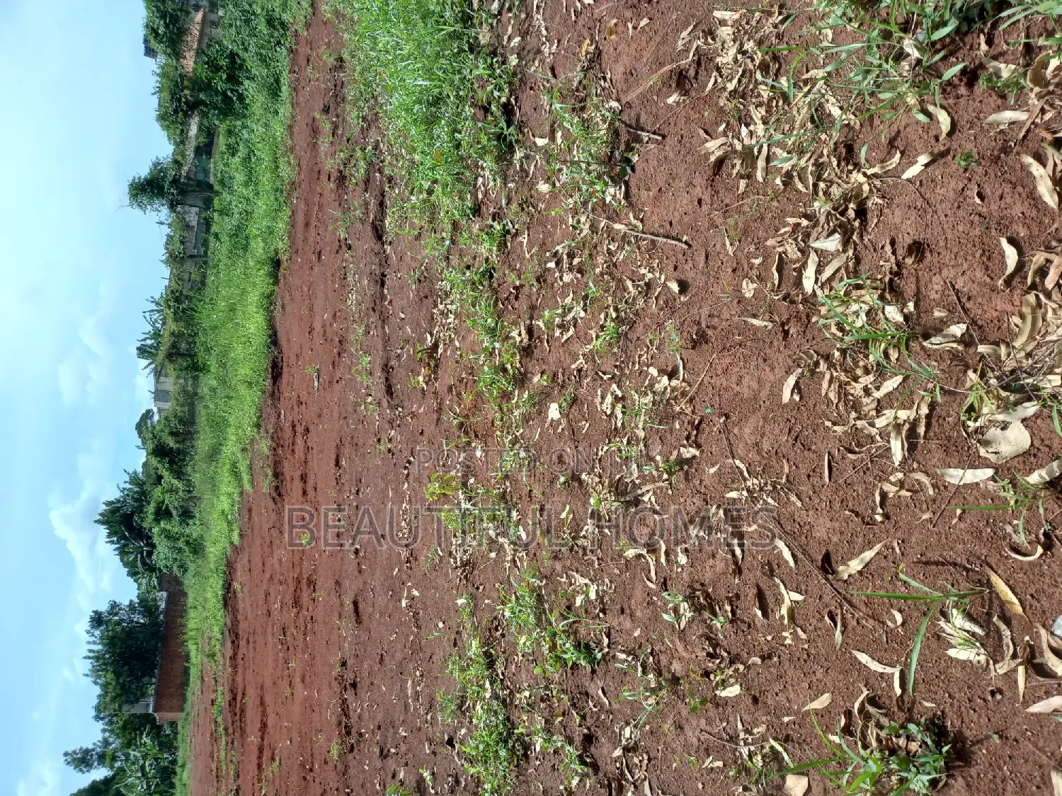 Kira Titled Plots on Sale in Kira