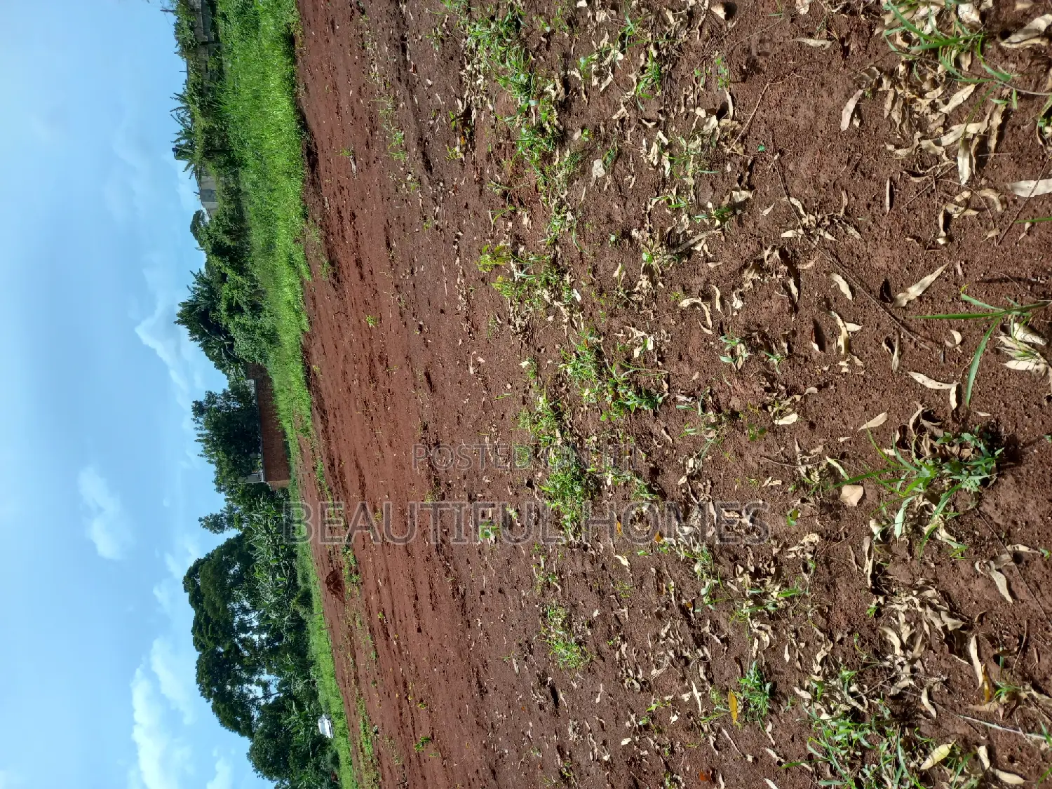 Kira Titled Plots on Sale in Kira