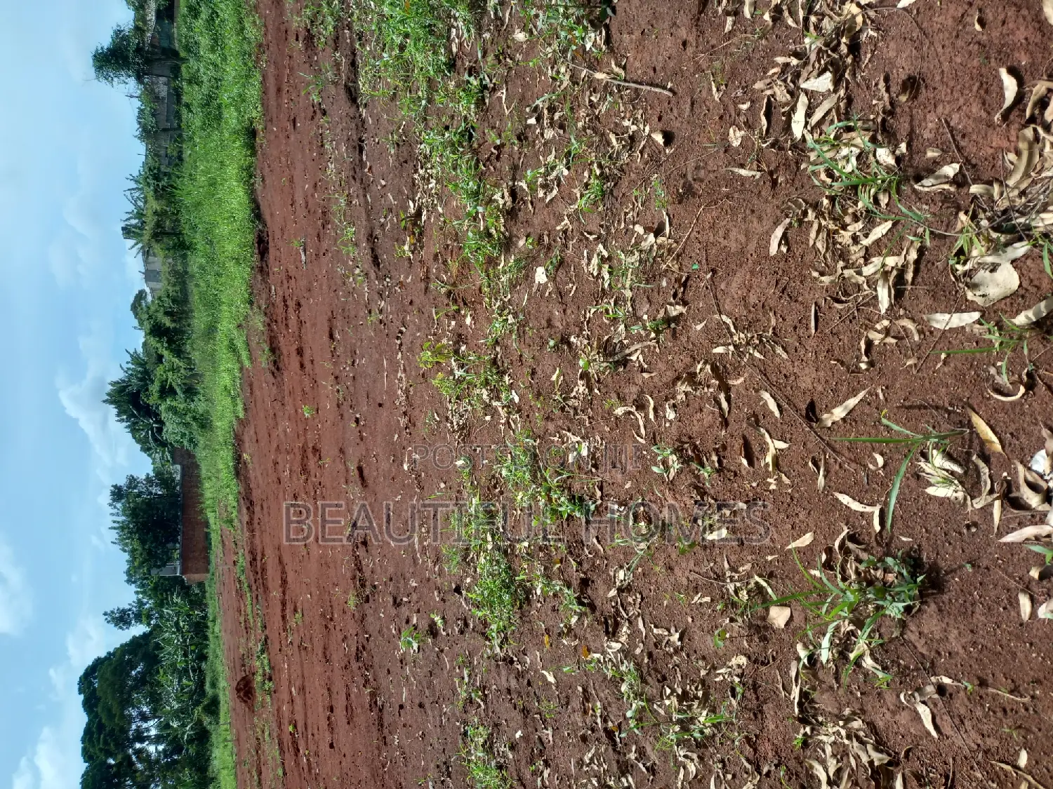 Kira Titled Plots on Sale in Kira