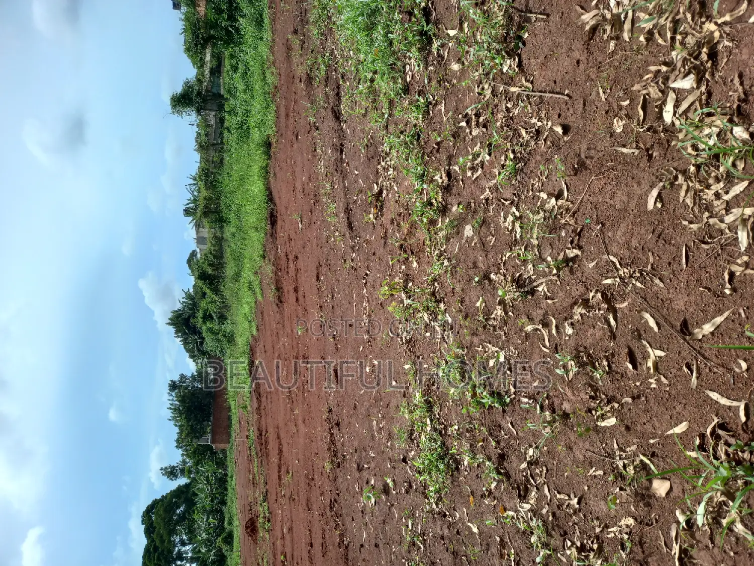 Kira Plots of Land on Sale in Kira