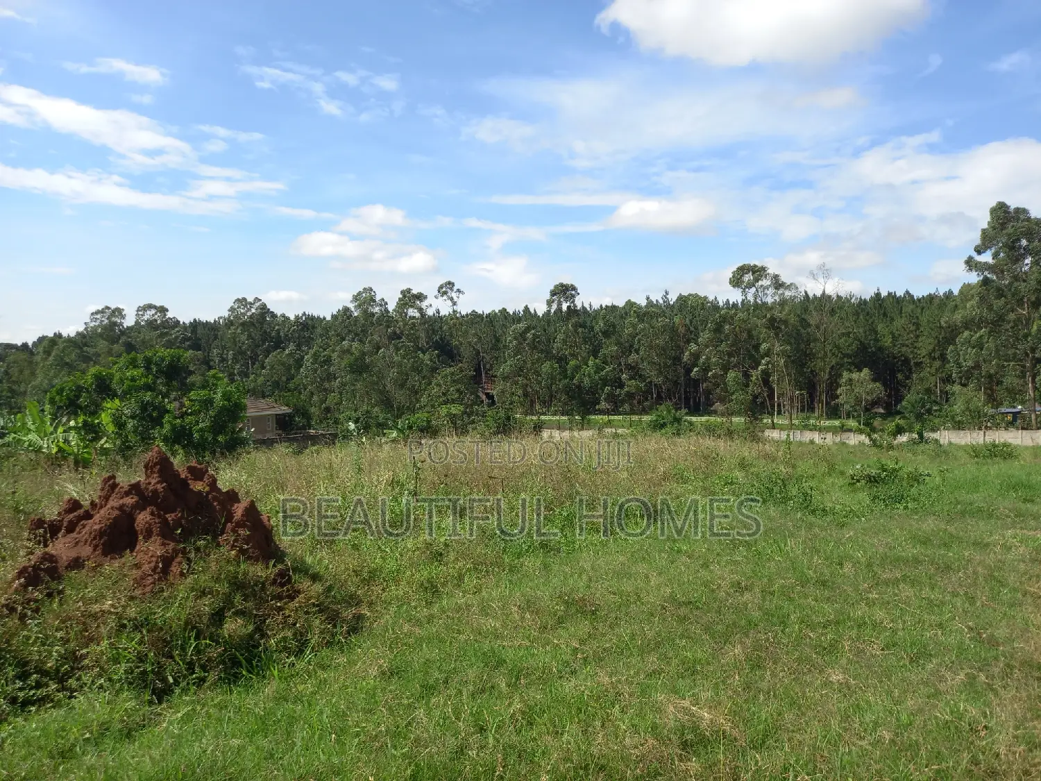 Estate Plots in Kira on Sell in Kira