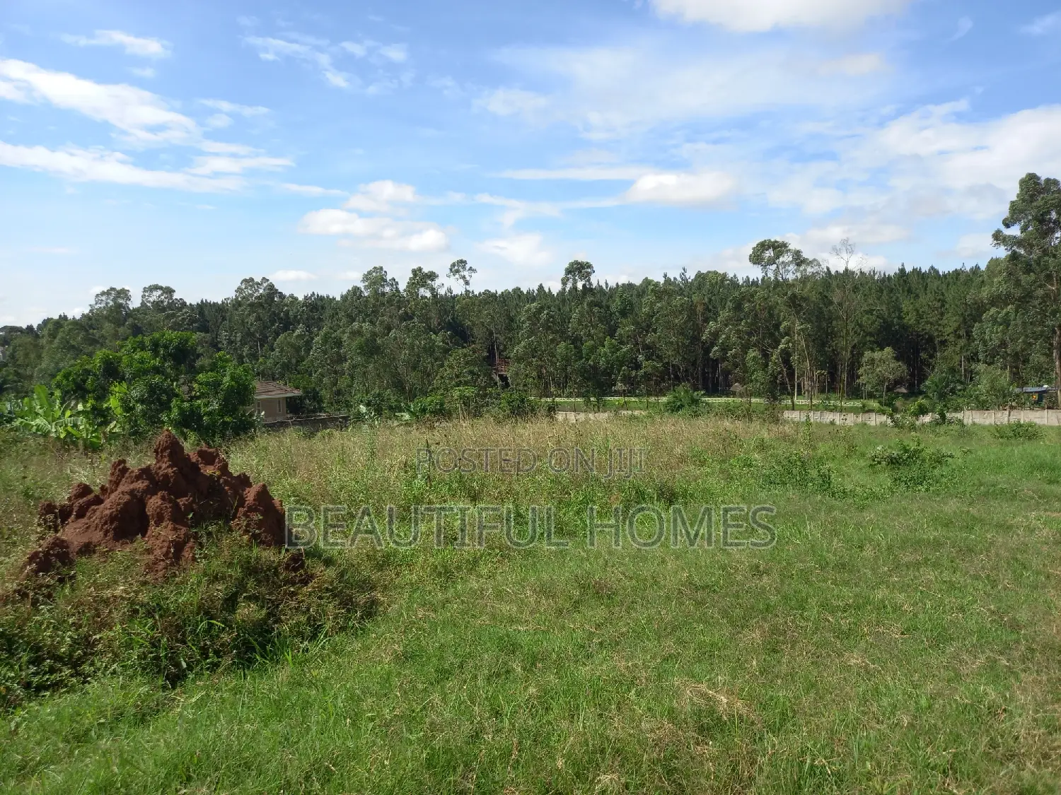 Estate Plots in Kira on Sell in Kira