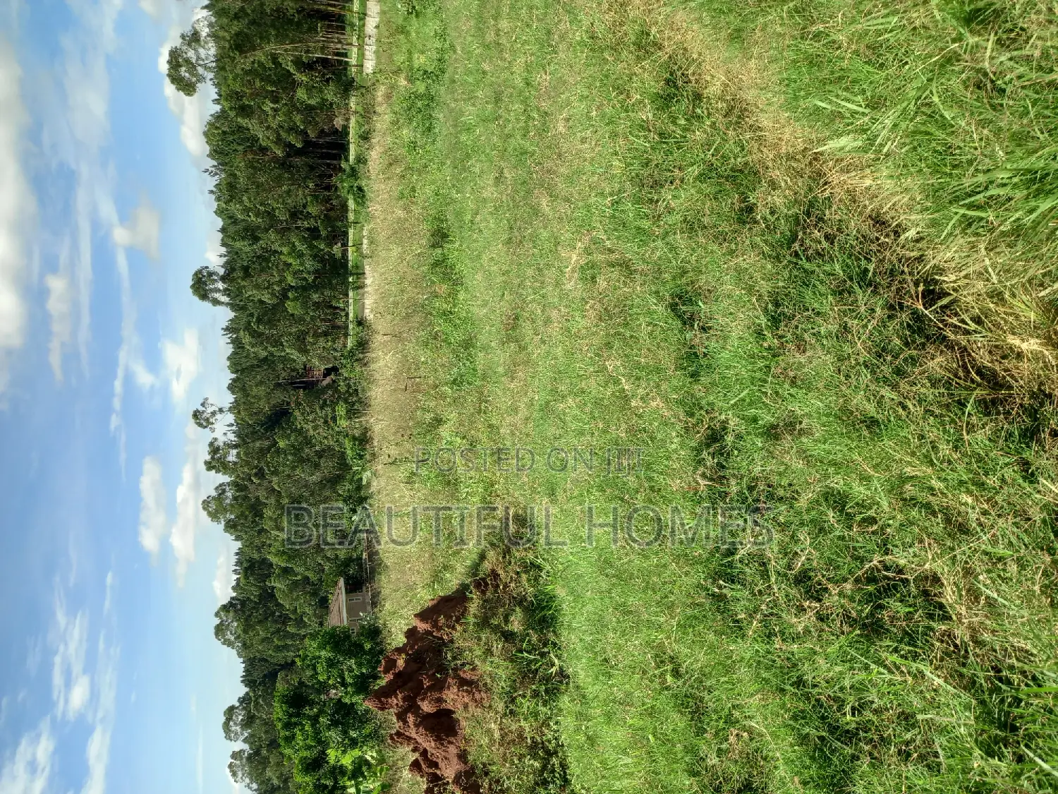 Kira Good Plots for Sale in Kira