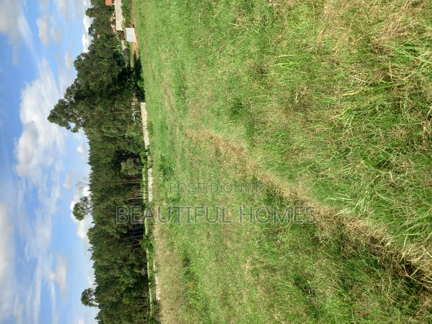 Kira Beautiful Plots for Sell in Kira