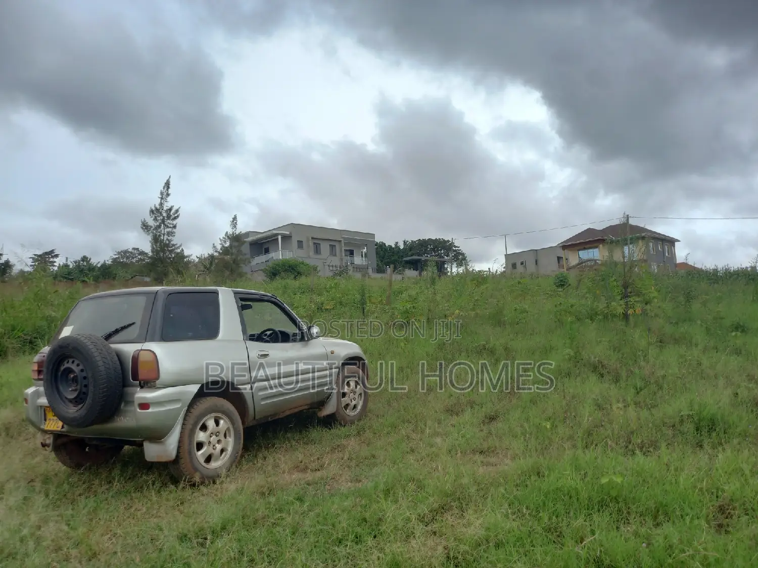 Cute Plots in Kira on Sell in Kira