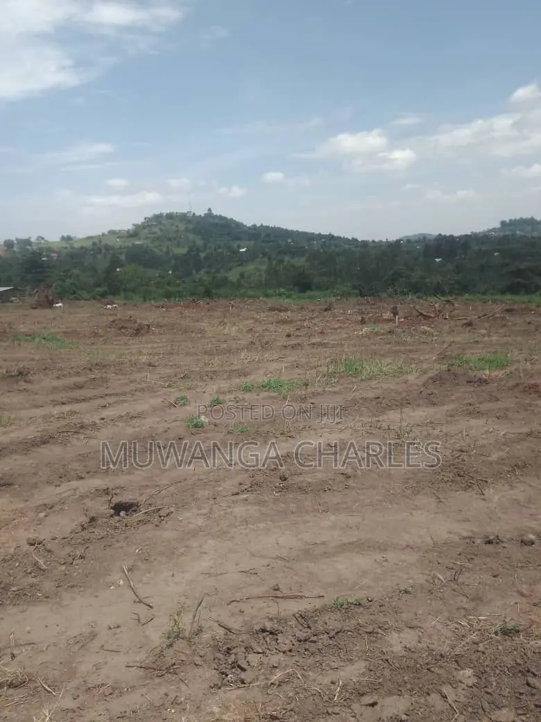 Plot's for Sale in Kiwenda in Division A