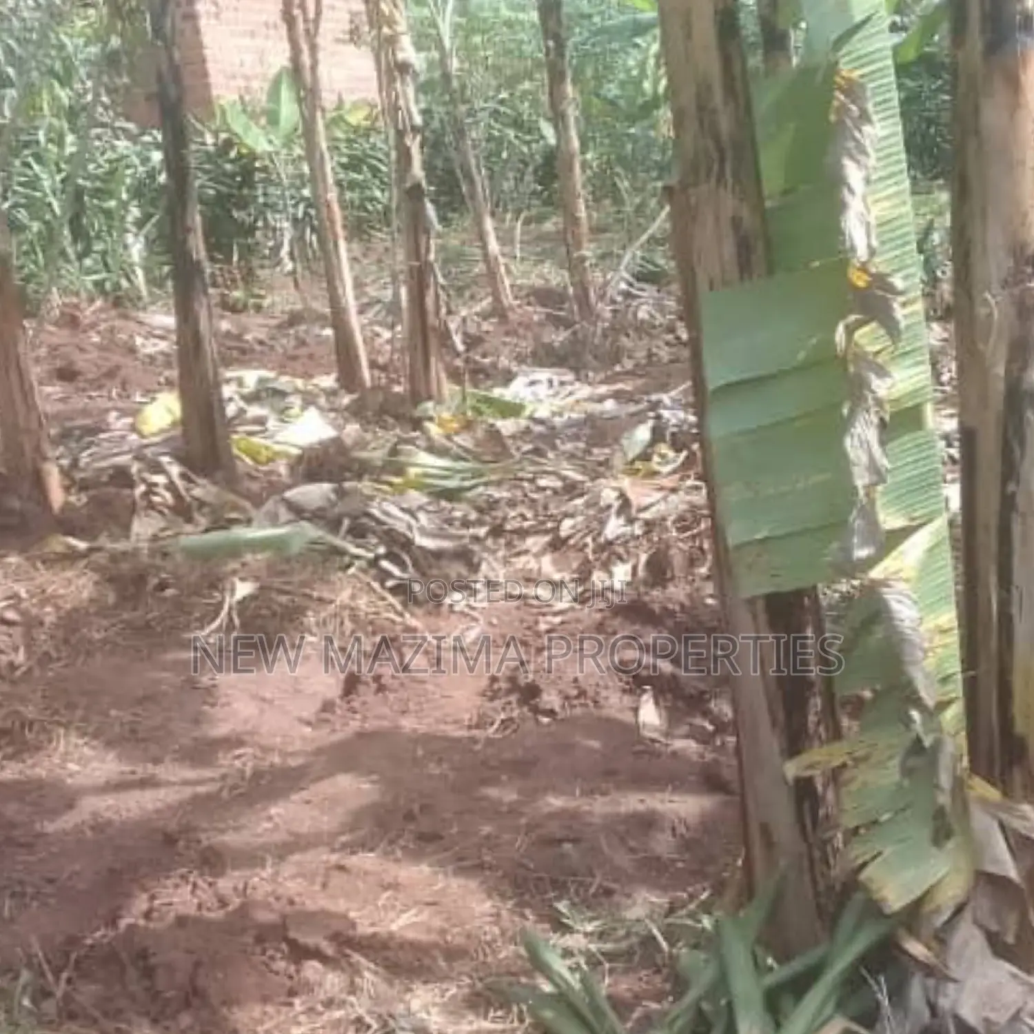 Very Beautiful Plot Ready Private Title Katende Masaka Rd in Division A