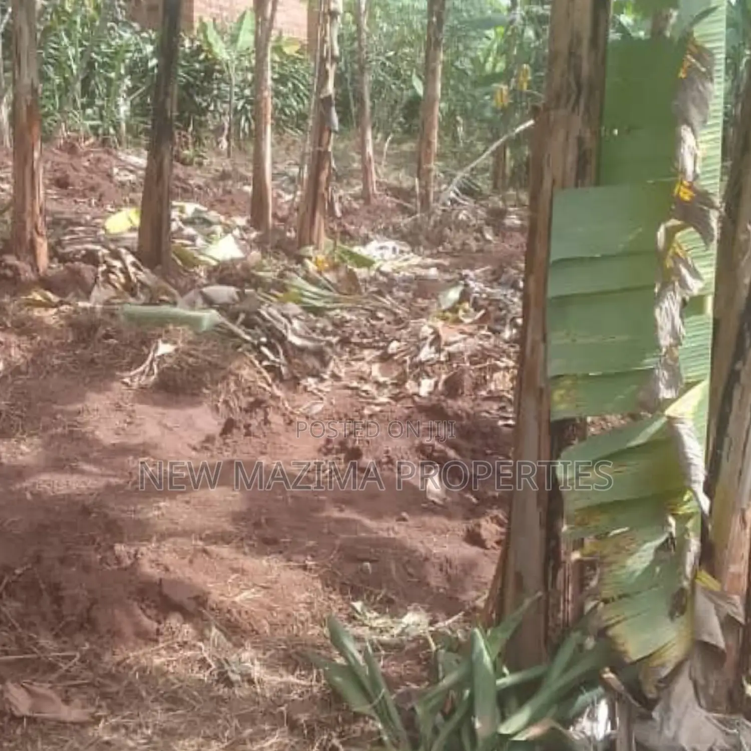 Very Beautiful Plot Ready Private Title Katende Masaka Rd in Division A