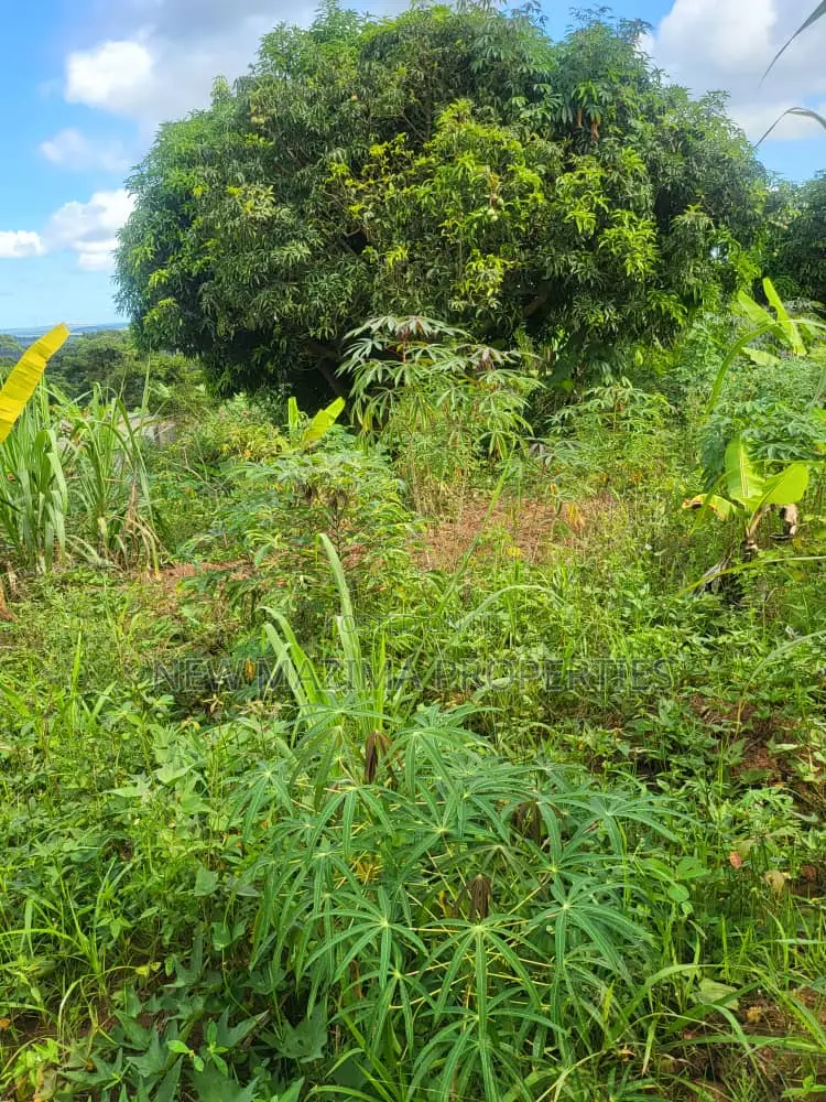 Verybeautiful 100 Ft X 100 Ft With Lake View Onsale Nakawuka in Division A