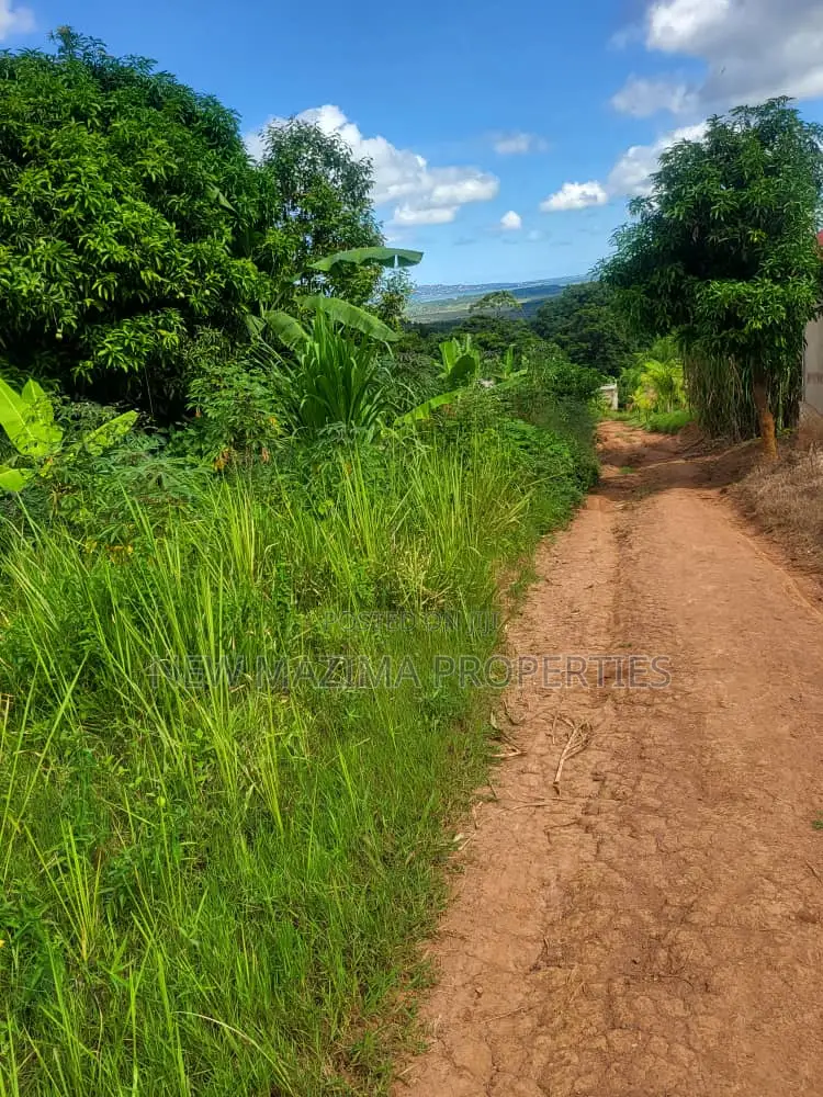 Verybeautiful 100 Ft X 100 Ft With Lake View Onsale Nakawuka in Division A