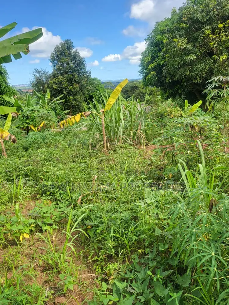 Verybeautiful 100 Ft X 100 Ft With Lake View Onsale Nakawuka in Division A