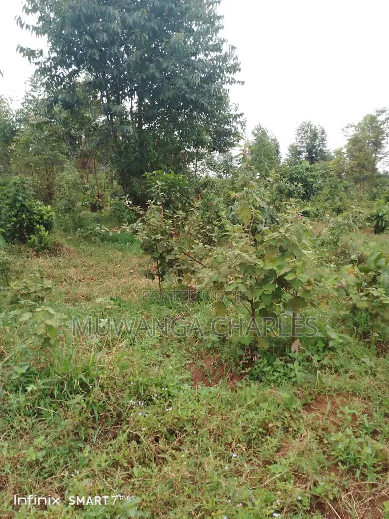 Land for Sale in Kamira in Kamira