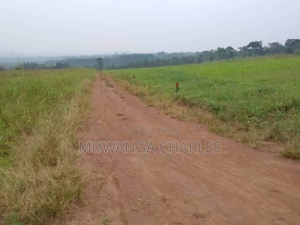 Plot's Available for Sale at Busiika in Luwero / Luwero