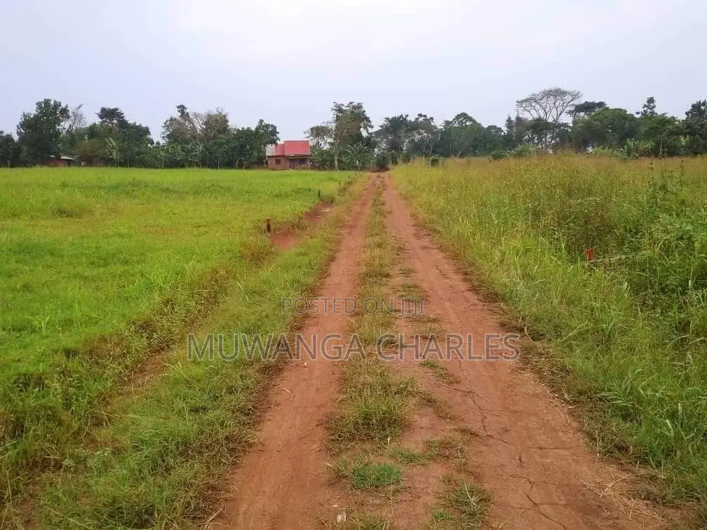 Plot's Available for Sale at Busiika in Luwero / Luwero